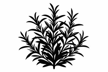 rosemary line art silhouette vector illustration
