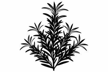 rosemary line art silhouette vector illustration