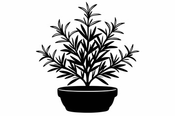 rosemary line art silhouette vector illustration