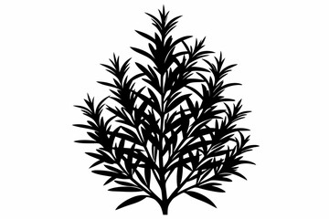 rosemary line art silhouette vector illustration