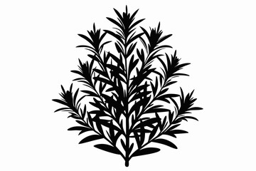 rosemary line art silhouette vector illustration