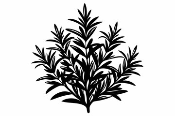 rosemary line art silhouette vector illustration