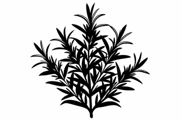 rosemary line art silhouette vector illustration