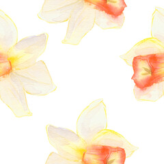 Daffodil flower seamless pattern. Floral background with Daffodils. Botanical Background for wallpapers, wrapping paper, textile