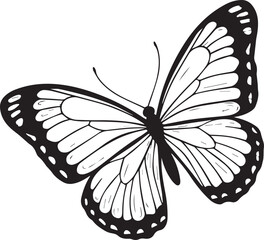 butterfly, art, animal, design, beautiful, fly, silhouette, illustration, isolated, set