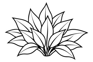 a plant line art silhouette vector illustration
