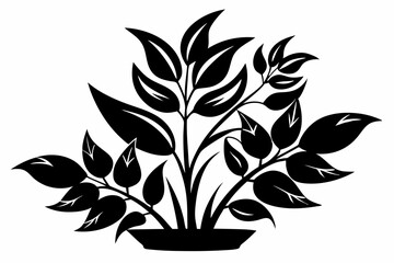 a plant line art silhouette vector illustration