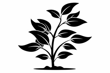a plant line art silhouette vector illustration