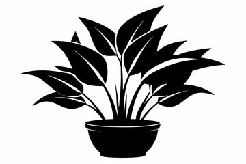 a plant line art silhouette vector illustration