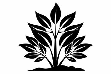 a plant line art silhouette vector illustration
