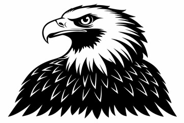 bald eagle line art silhouette vector illustration
