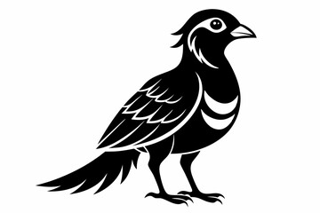 bird line art silhouette vector illustration