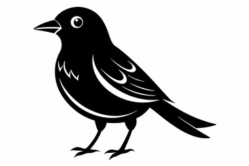 Obraz premium bird line art silhouette vector illustration