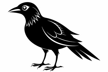 bird line art silhouette vector illustration