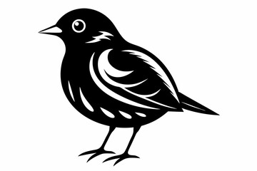 bird line art silhouette vector illustration