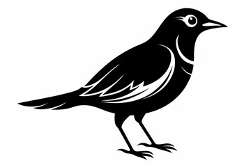 bird line art silhouette vector illustration