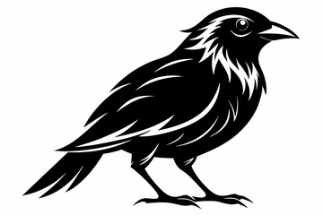 bird line art silhouette vector illustration