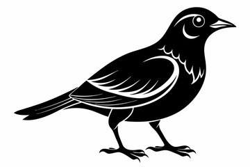 bird line art silhouette vector illustration