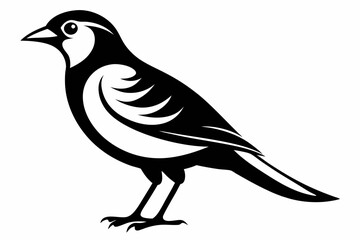 bird line art silhouette vector illustration