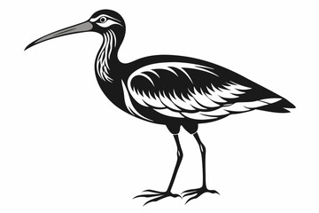 Obraz premium curlew line art silhouette vector illustration