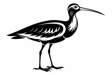 Obraz premium curlew line art silhouette vector illustration