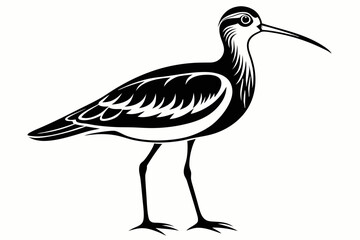 Obraz premium curlew line art silhouette vector illustration