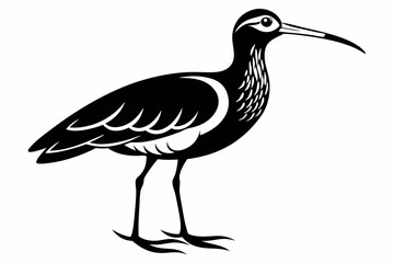 Obraz premium curlew line art silhouette vector illustration
