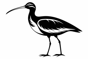 curlew line art silhouette vector illustration
