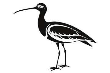 curlew line art silhouette vector illustration