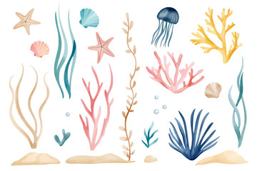 Set of watercolor seaweeds and corals. Underwater plants, laminaria. Sea flora illustration. Hand drawn aquarium and ocean life