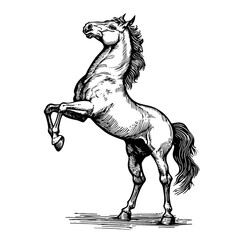 Dramatic black and white sketch of a majestic muscular horse captured in a powerful galloping pose showcasing its raw energy and untamed spirit