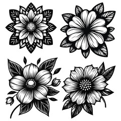 black and white flower