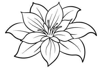 flower line art silhouette vector illustration