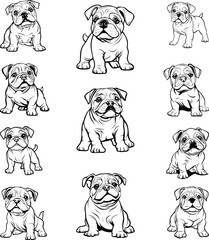 English Bulldog Svg Bundle, Bulldog Clipart Svg, bulldog png, bulldog shirt
