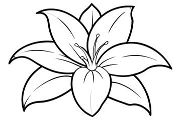 lily line art silhouette vector illustration