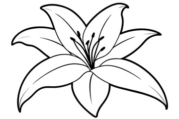 lily line art silhouette vector illustration