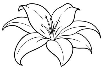 lily line art silhouette vector illustration