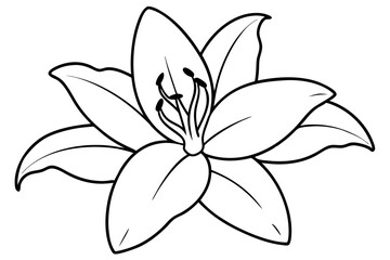 lily line art silhouette vector illustration