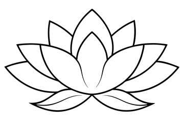 lotus line art silhouette vector illustration