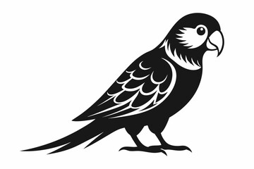parakeet line art silhouette vector illustration