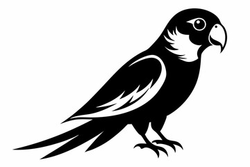 parakeet line art silhouette vector illustration
