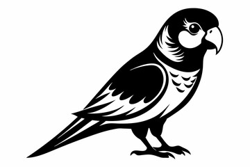 parakeet line art silhouette vector illustration