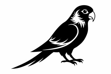 parakeet line art silhouette vector illustration