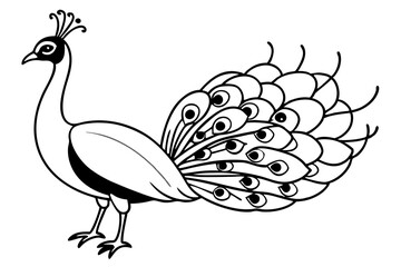 Naklejka premium peacock line art silhouette vector illustration