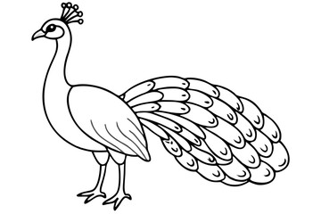 peacock line art silhouette vector illustration