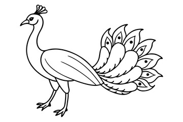 peacock line art silhouette vector illustration
