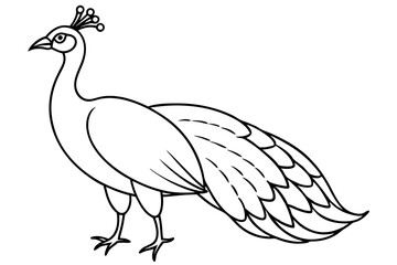 peacock line art silhouette vector illustration