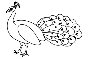 peacock line art silhouette vector illustration