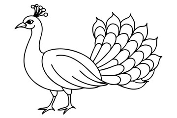 peacock line art silhouette vector illustration