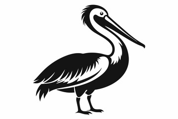 pelican line art silhouette vector illustration